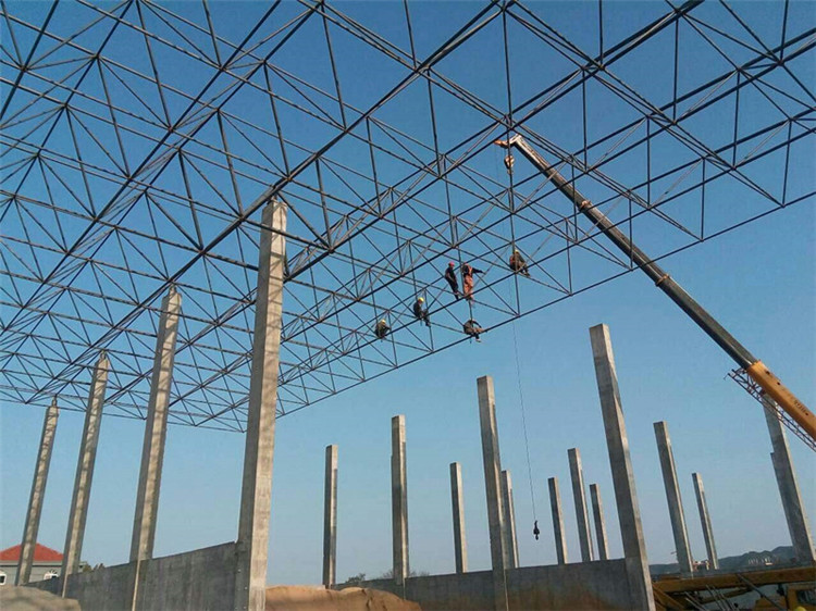 梅州加气站钢结构网架案例10